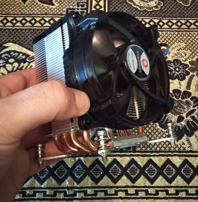 user posted image