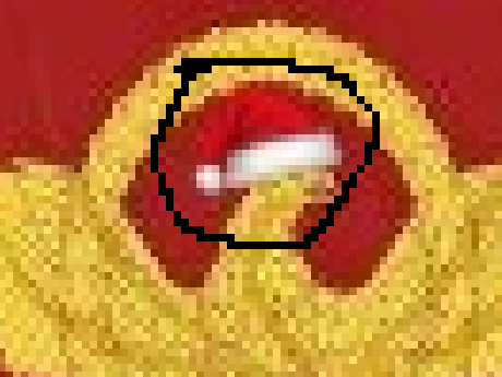 user posted image