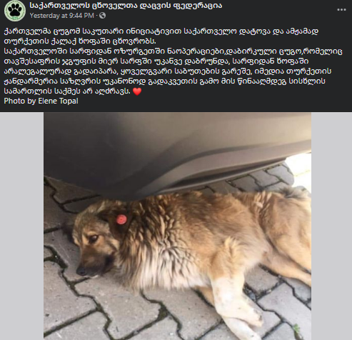 user posted image