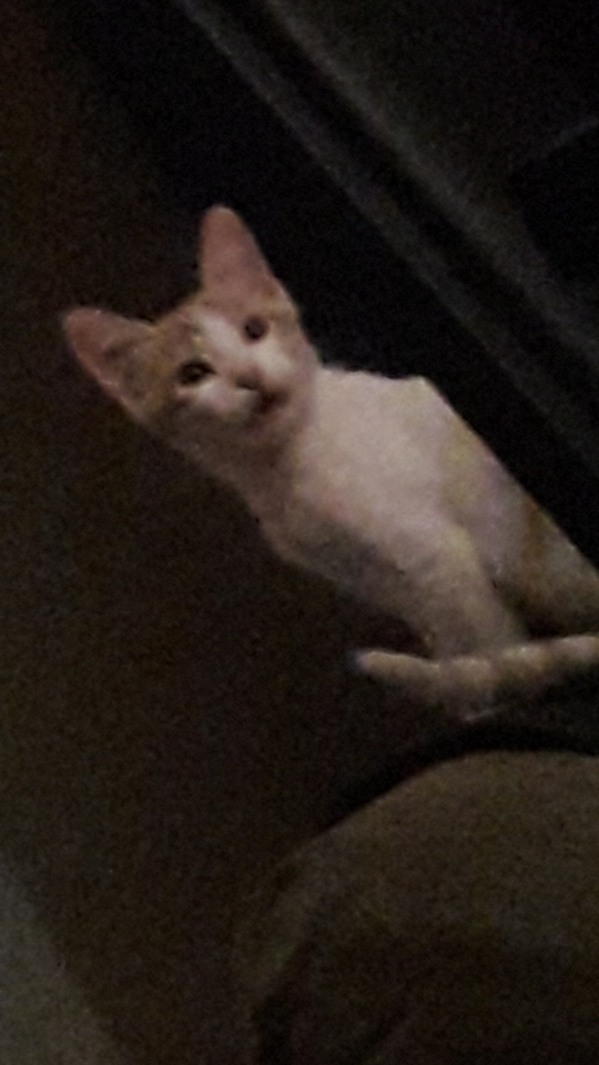 user posted image