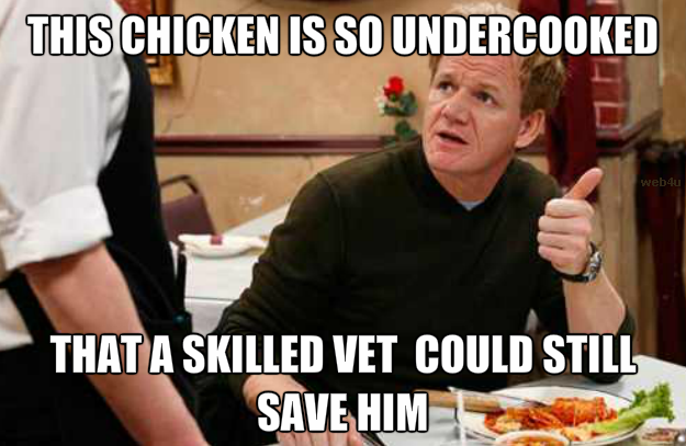 user posted image