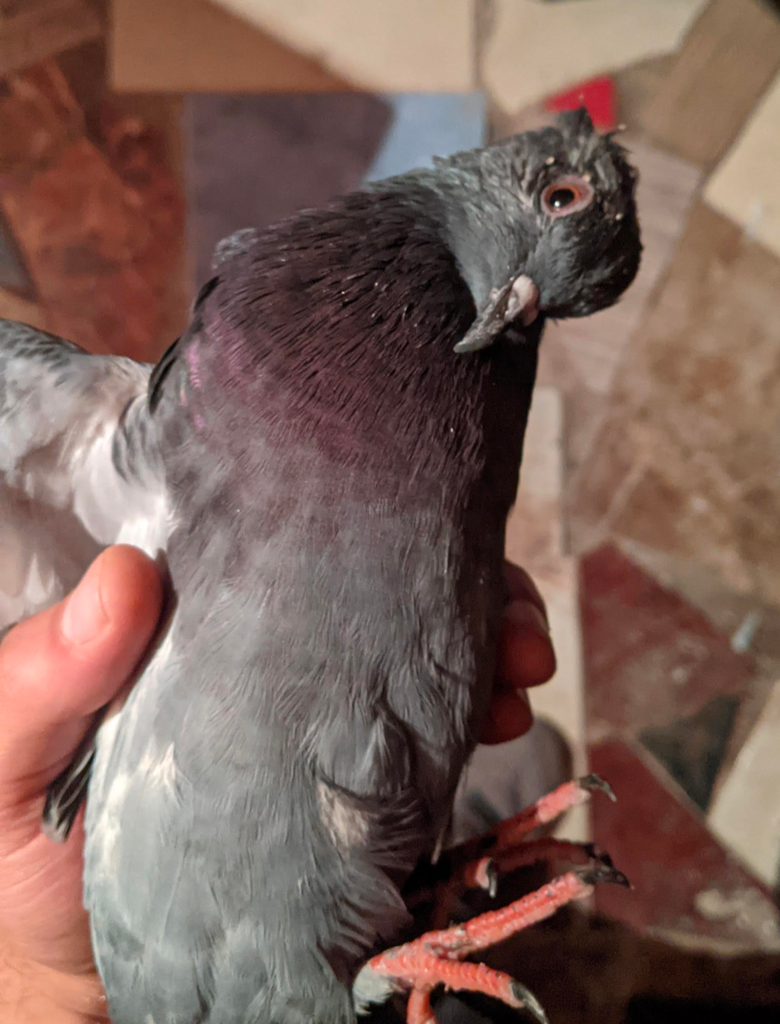 user posted image
