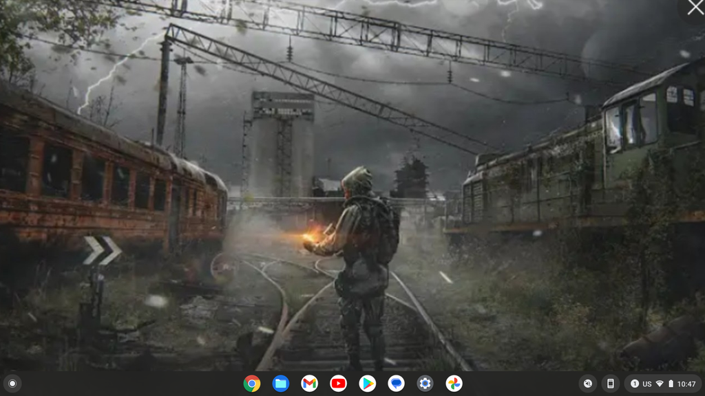 user posted image