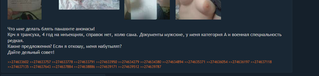 user posted image