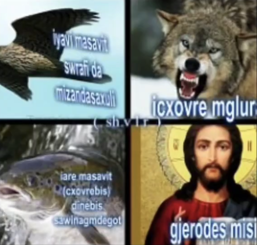 user posted image
