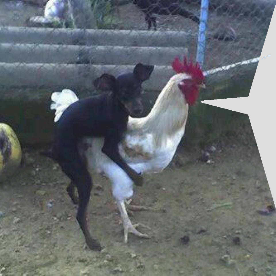 user posted image