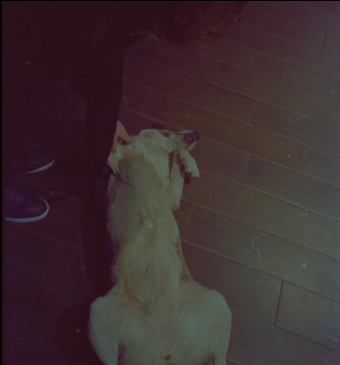 user posted image