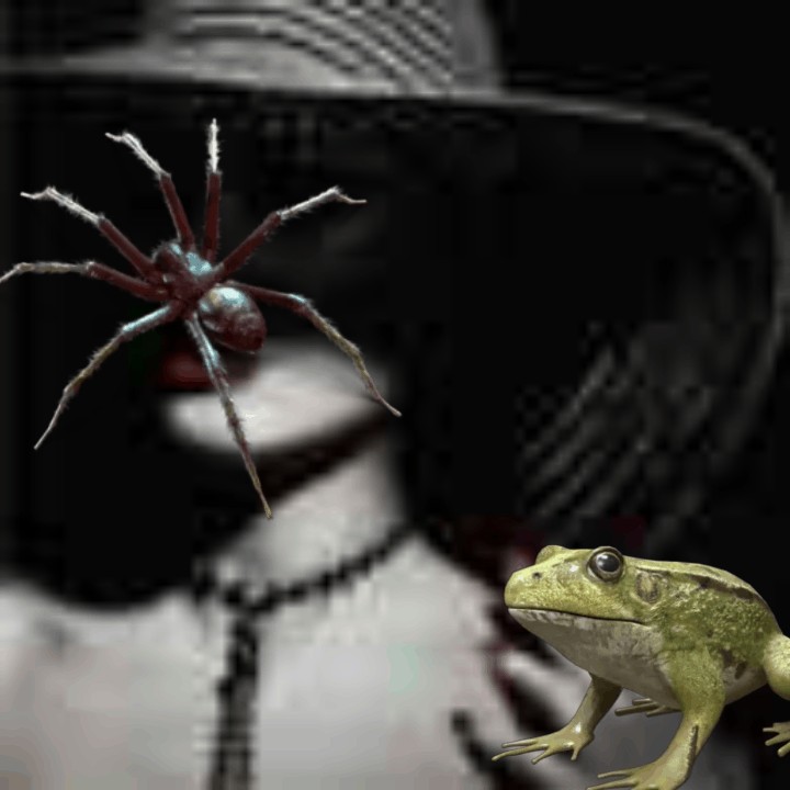 user posted image
