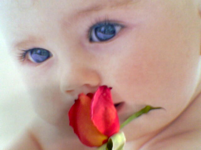 User Photo