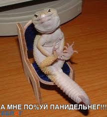 User Photo