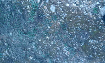 User Photo