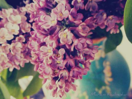 User Photo