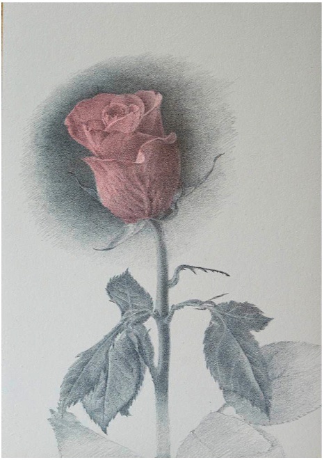 rose_3_19_42_34.jpg