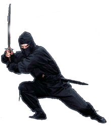 ninja.gif