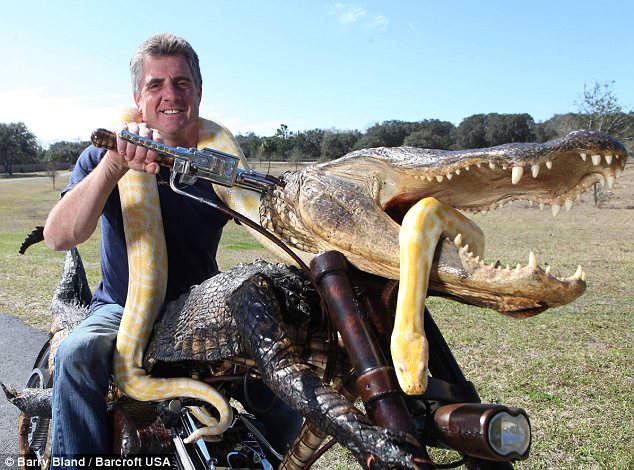 Gator_Bike_4.jpg