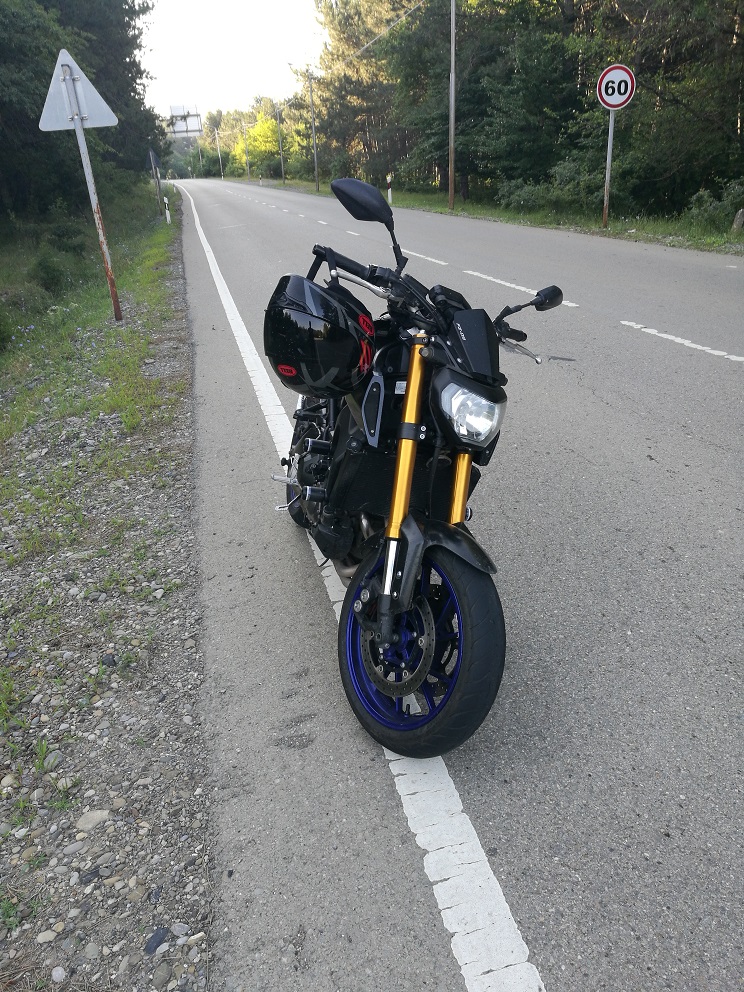 FZFZFZ.jpg