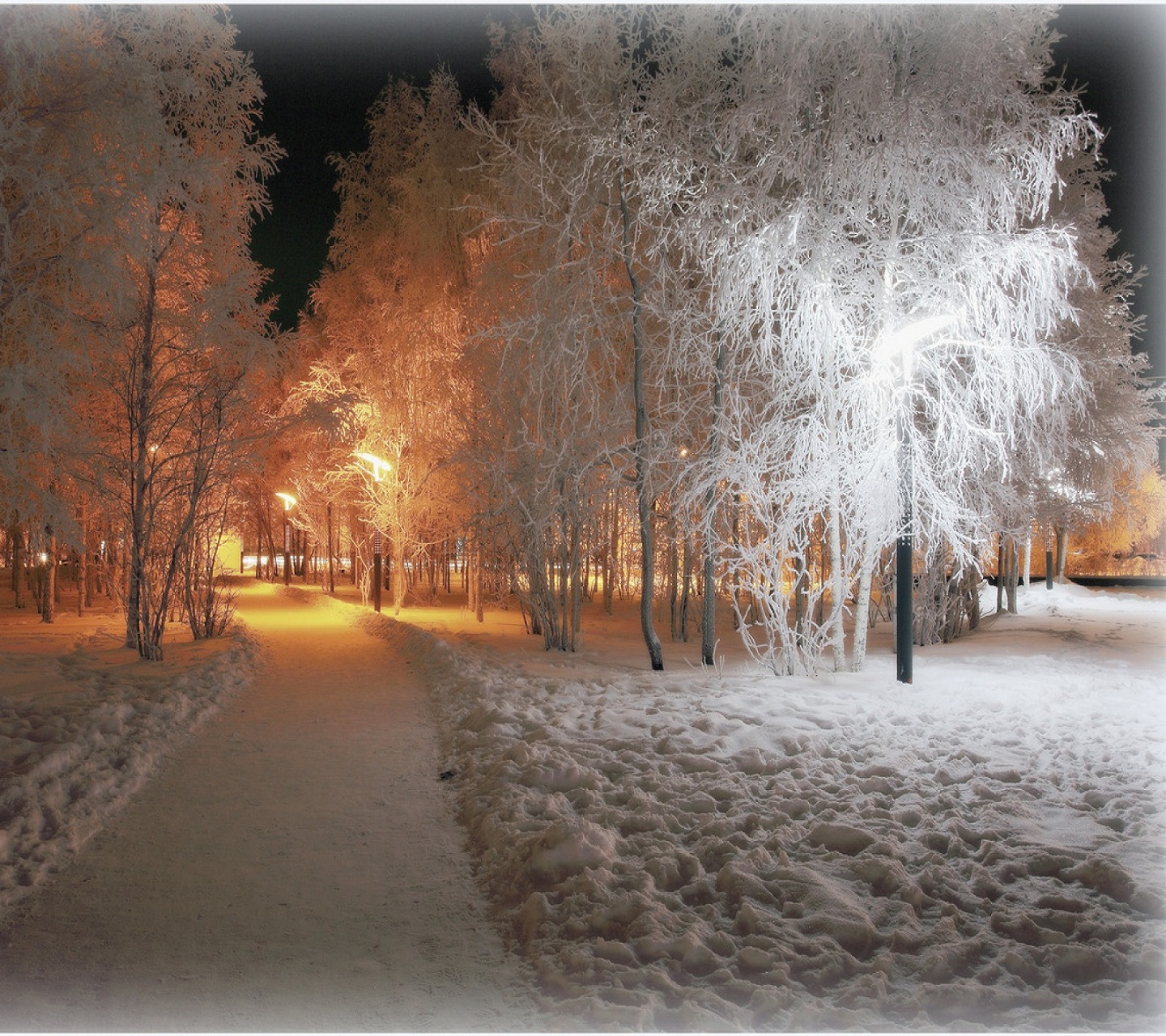 Winter_Light_25.jpg