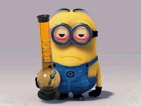 minion_high.jpg