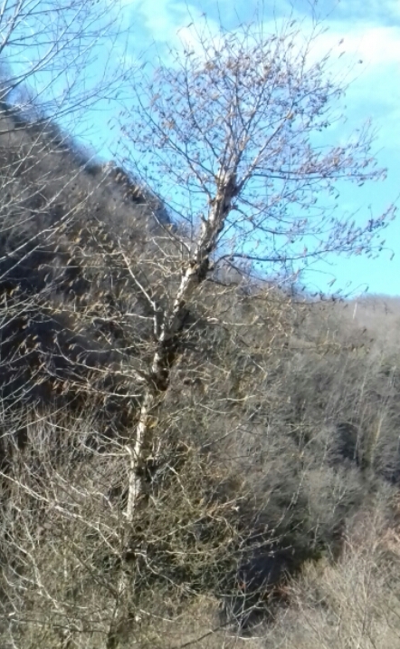 2016_02_15_20.30.50.jpg