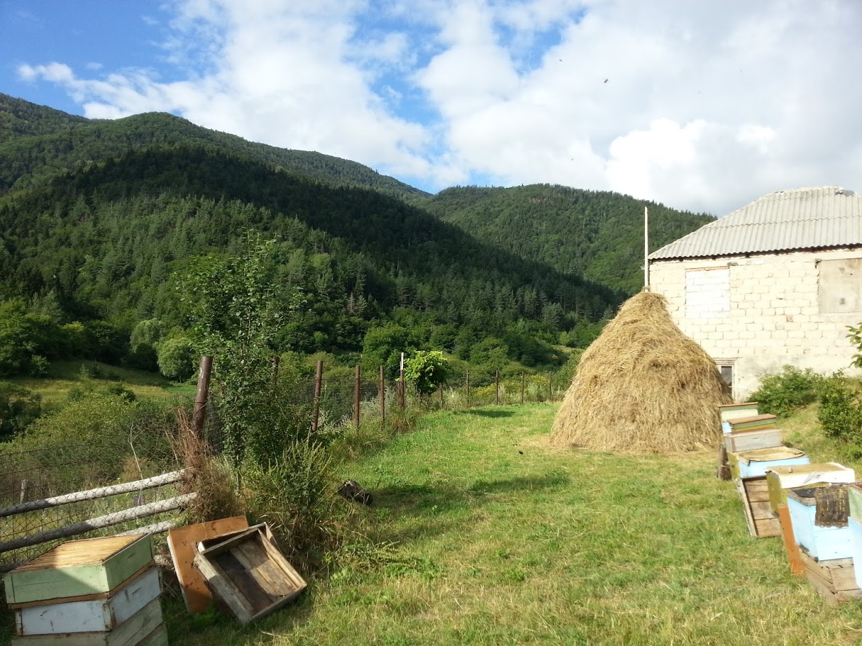 20160724_082405.jpg