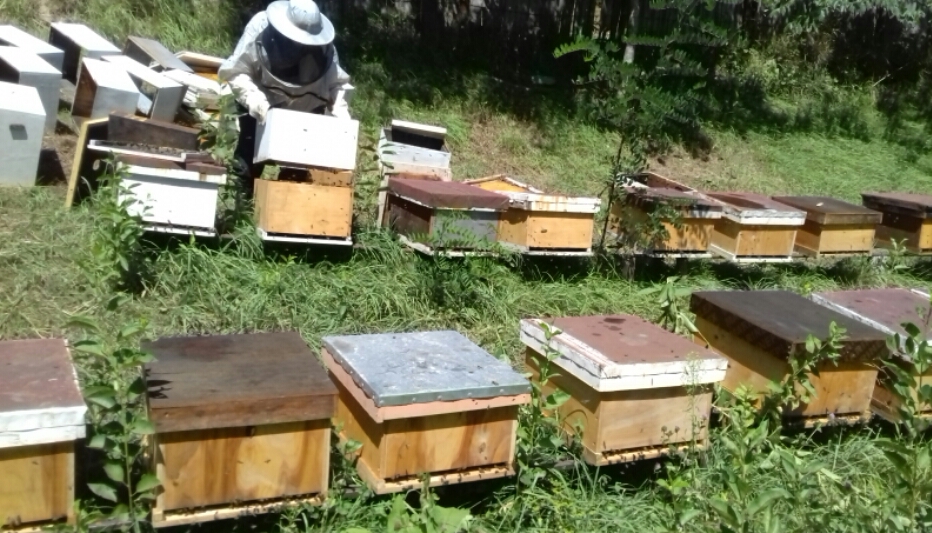 2016_08_23_20.53.07.jpg