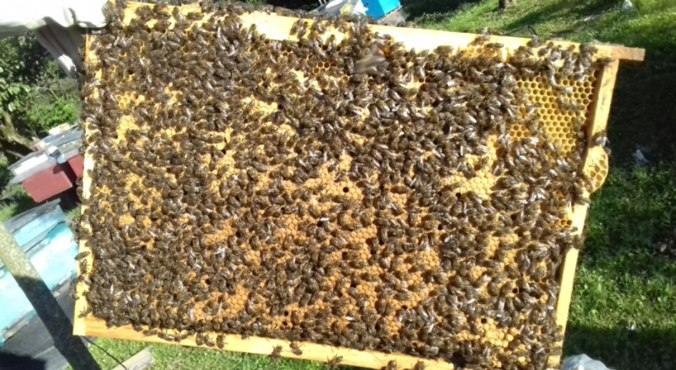 2016_09_04_20.15.58.jpg
