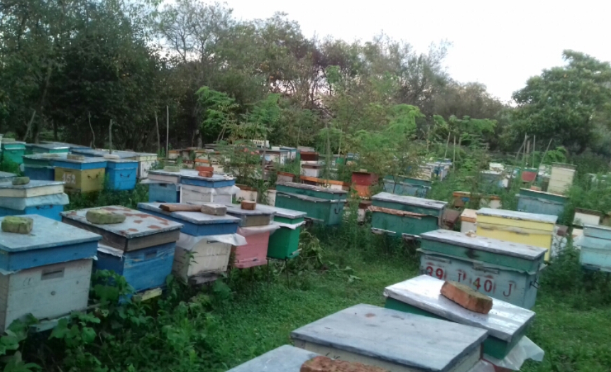 2016_09_13_01.44.22.jpg