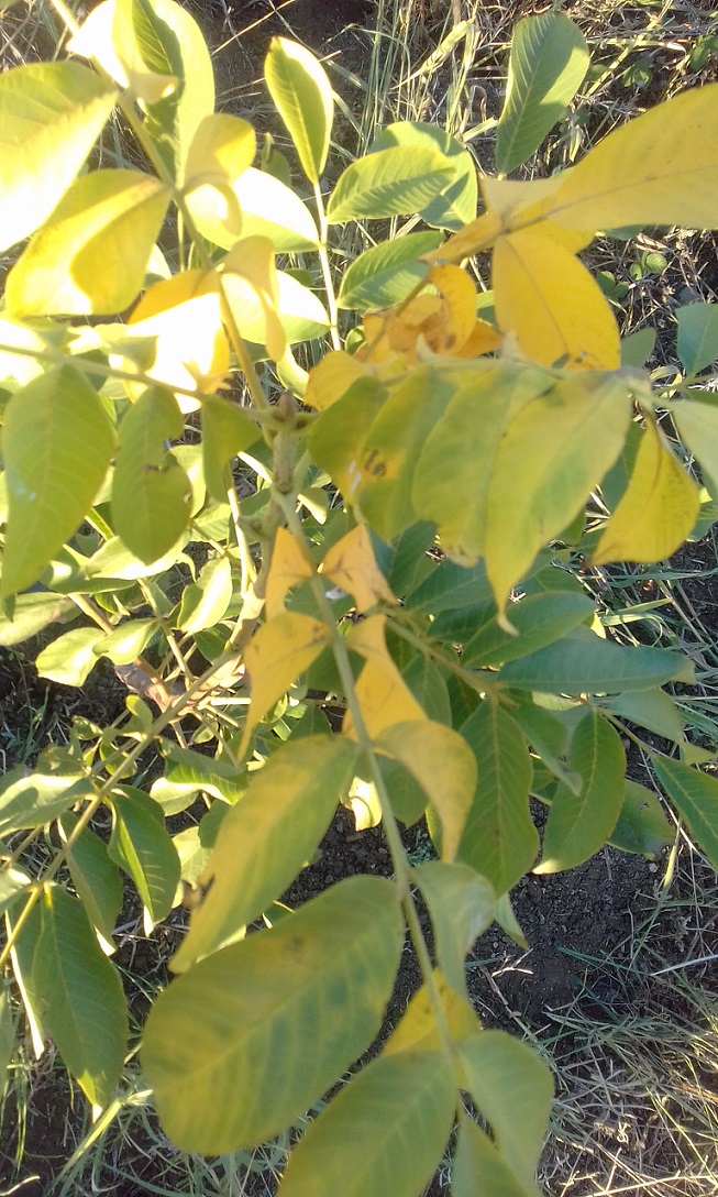 20160918_182221___Copy.jpg