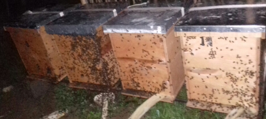 2016_09_25_15.03.01.jpg