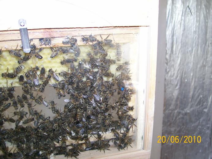 file_34.jpg