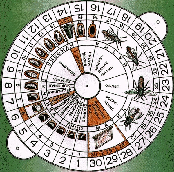 index_135.jpg
