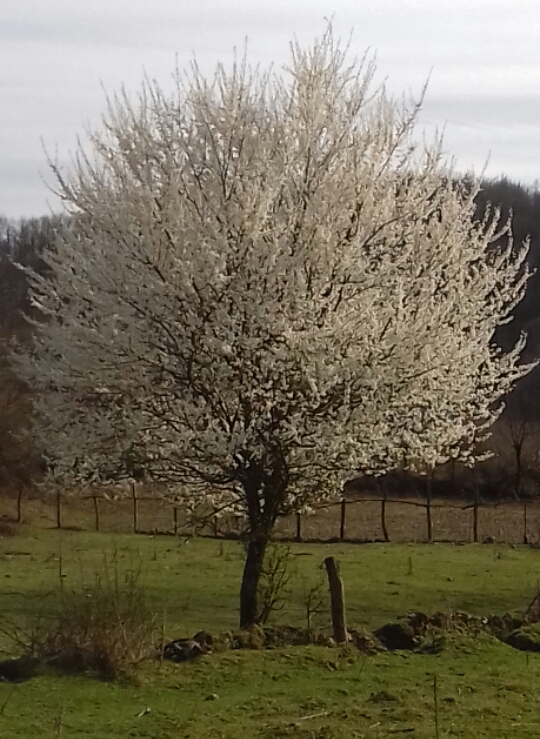 2016_03_14_21.24.45.jpg