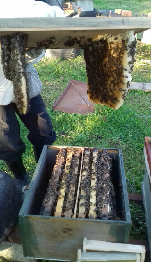 2016_11_18_10.30.04.jpg