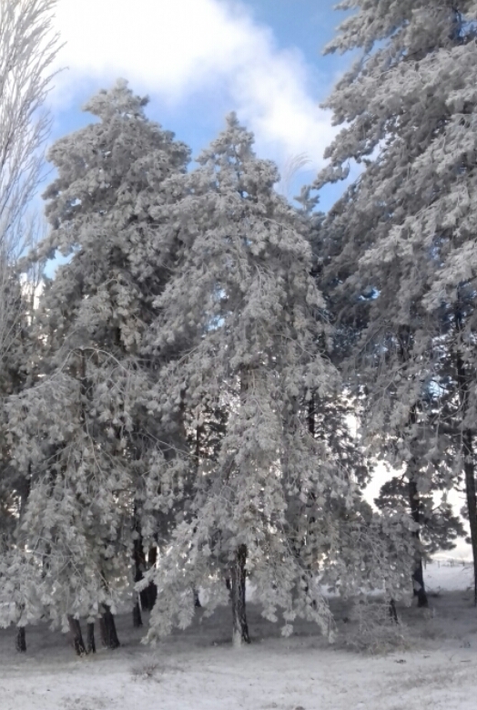 2016_01_21_20.26.20.jpg