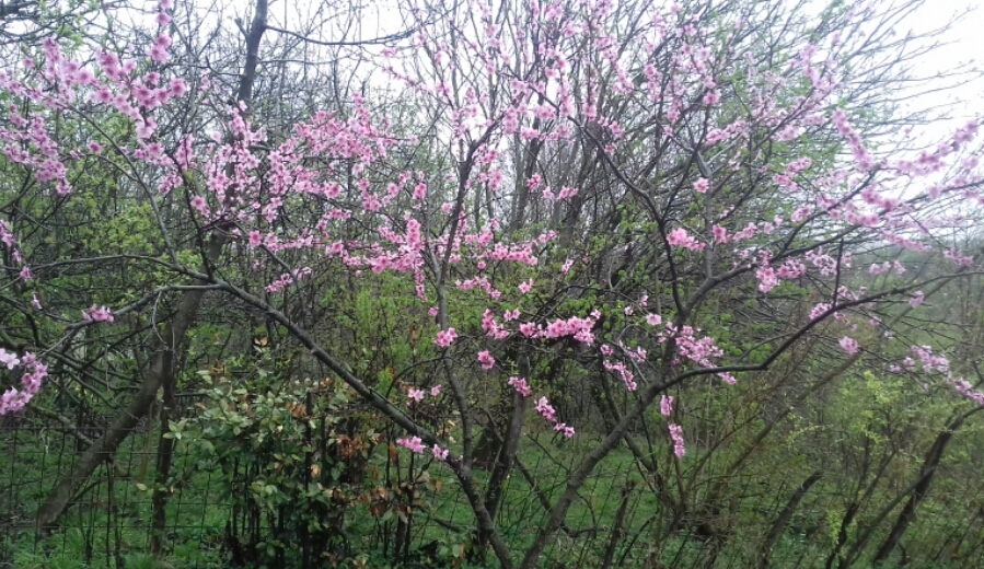 2017_04_11_11.07.19.jpg
