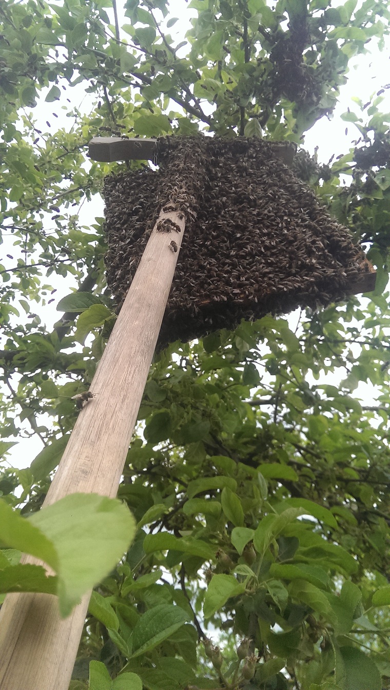 IMAG0480.jpg