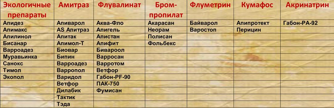 index_8.jpg