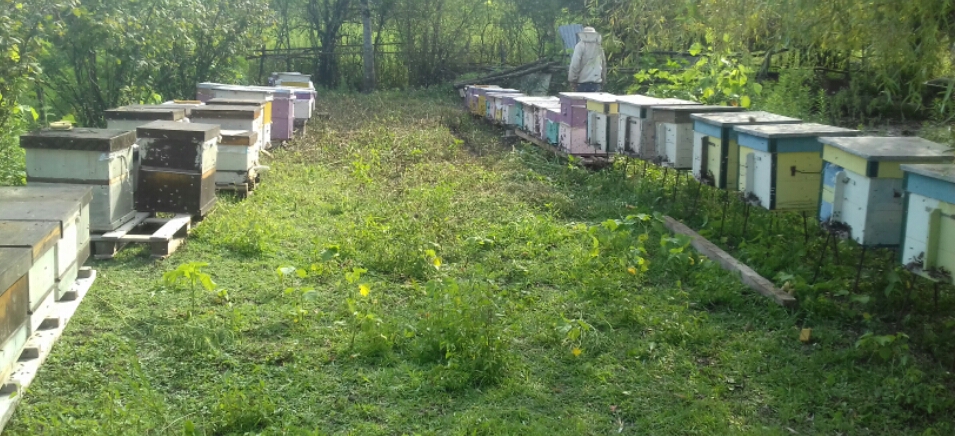 2018_08_17_10.51.21.jpg