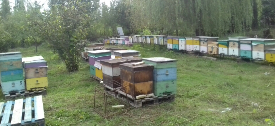 2018_08_23_23.22.59.jpg