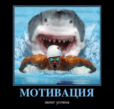 images__11_.jpg