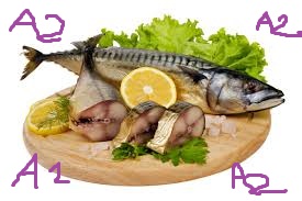 fishiii.jpg