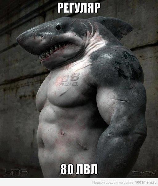 4Jb9AdQPVfQ.jpg