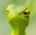 2017_03_24_175915.png