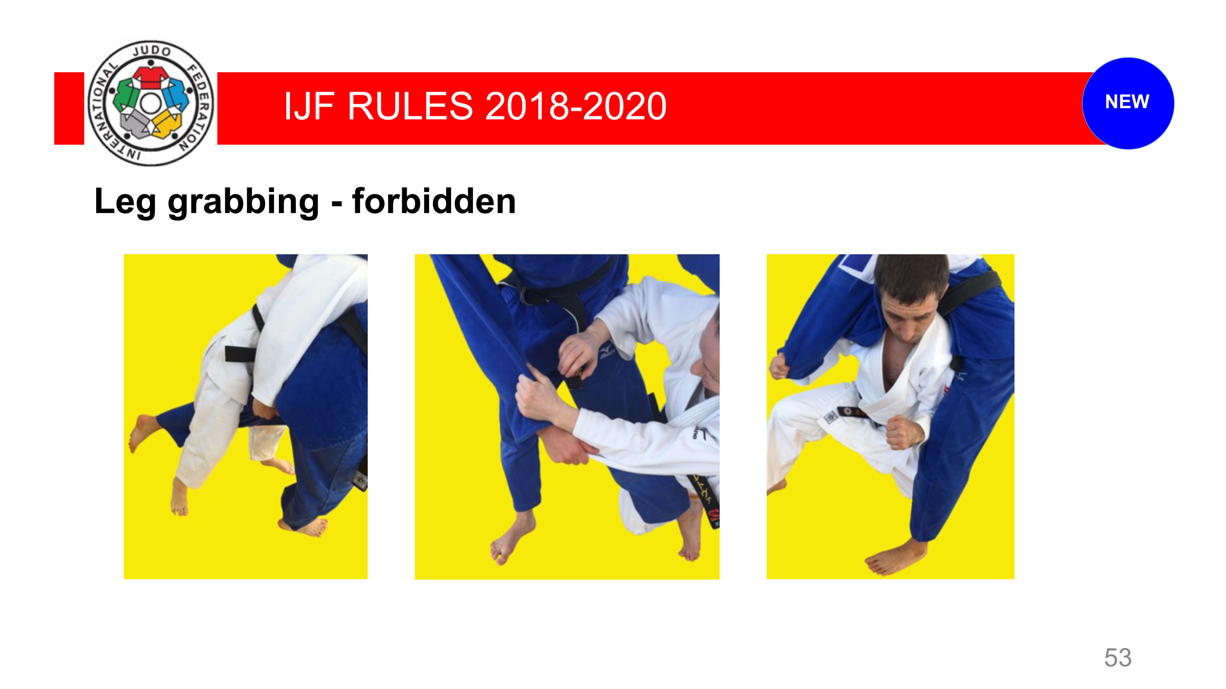 Explanatory_guide_of_the_judo_2018_53.jpg