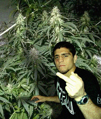 nick_diaz_weed.jpg
