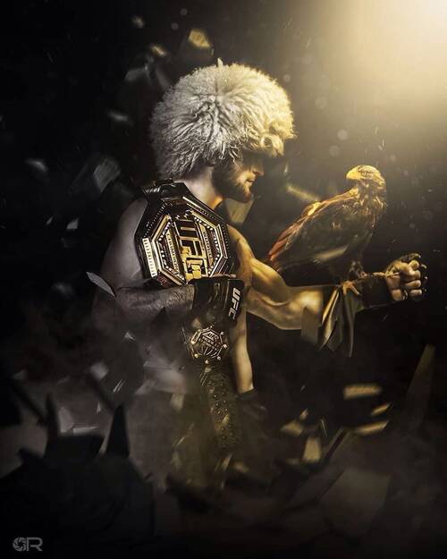 khabib_nurmagomedov_fight_stats.jpg