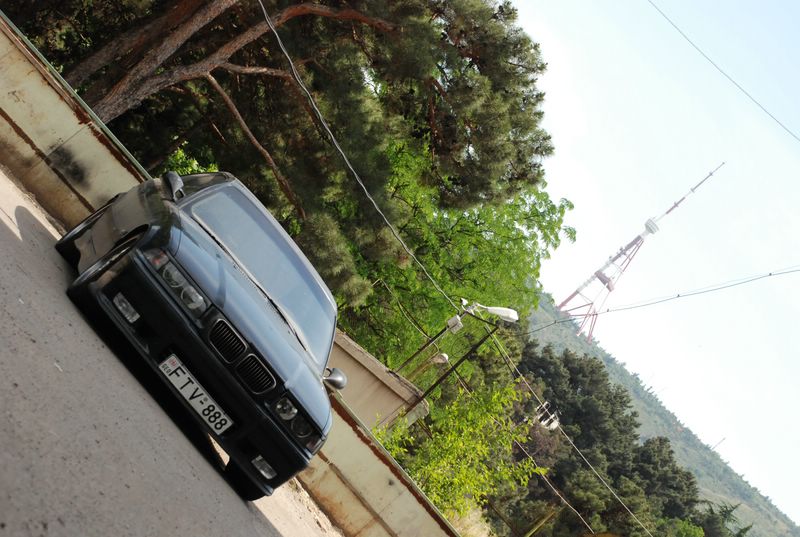 DSC_5741__800x600_.JPG