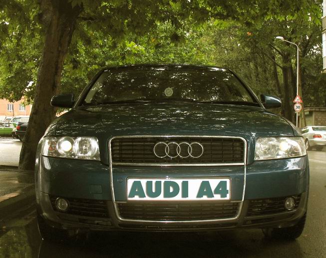 Resize_of_audi.jpg