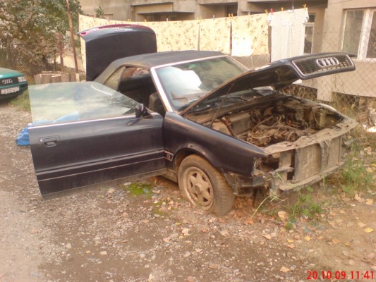 DSC00631___.JPG