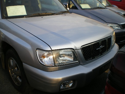 IMGP7310_1__2.JPG